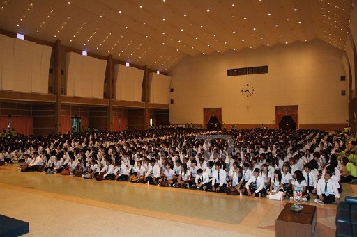 MCT036 Copy.JPG